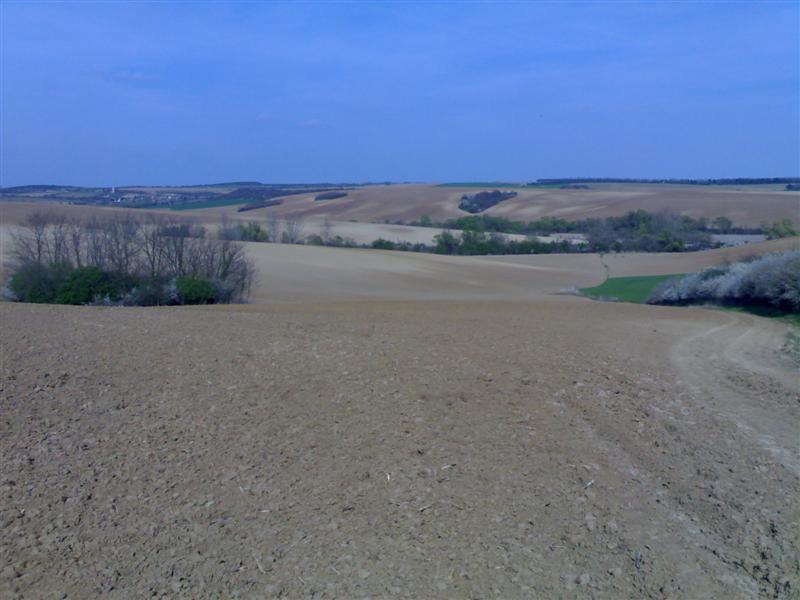 200704091680 .jpg